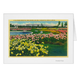 Municipal Rose Garden in Santa Clara County