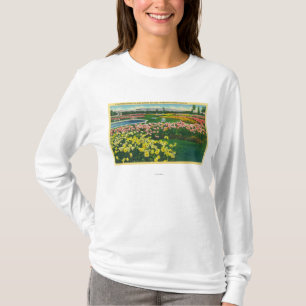 Municipal Rose Garden in Santa Clara County T-Shirt