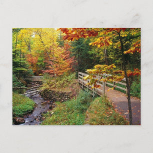 Munising Falls Trail, Alger County, Michigan Postcard