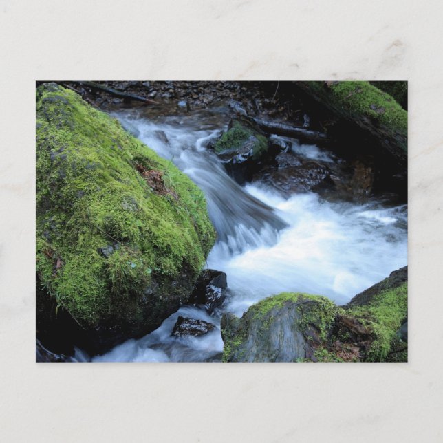 Munson Creek Postcard (Front)