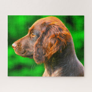 Munsterlander Dog. Jigsaw Puzzle