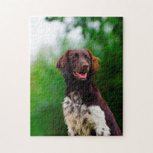 Munsterlander Dog. Jigsaw Puzzle