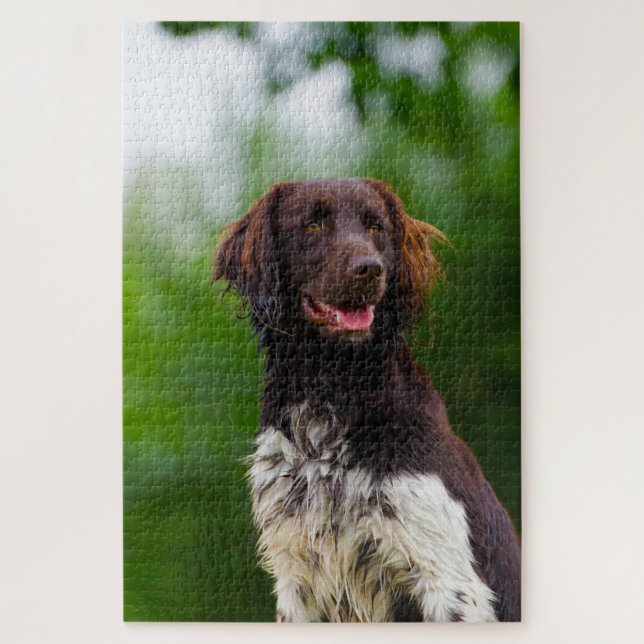 Munsterlander Dog. Jigsaw Puzzle (Vertical)
