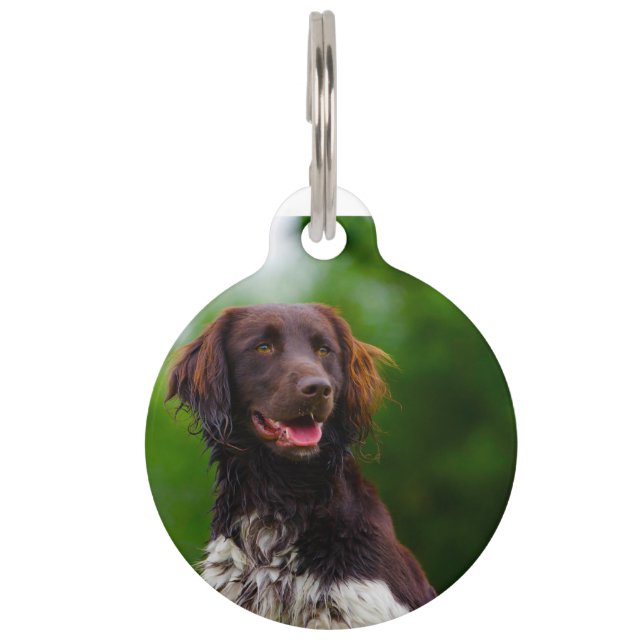 Munsterlander Dog. Pet Tag (Front)