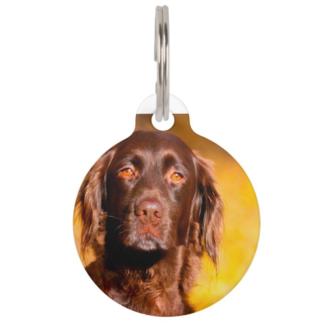 Munsterlander Dog Pet Tag (Front)