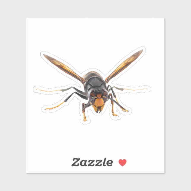 Murder Hornet (Sheet)