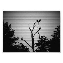 Murder of Crows in a Dead Tree (Spooky Version)