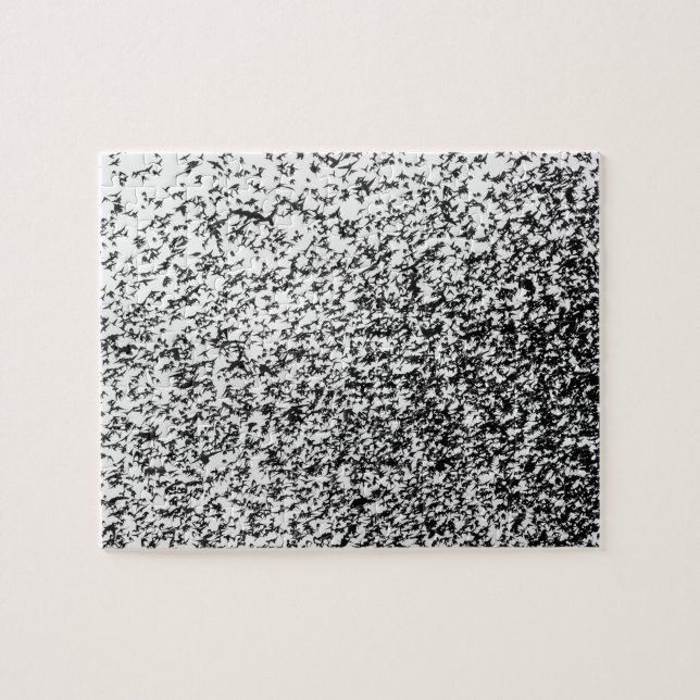 Murmuration Black and White Puzzle (Horizontal)