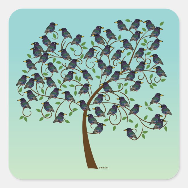 Murmuration of Starlings Square Sticker (Front)