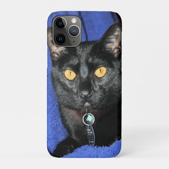 Murphy Case-Mate iPhone Case (Back)