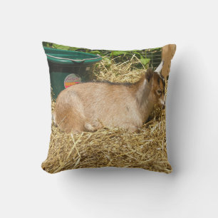 Murphy Cushion