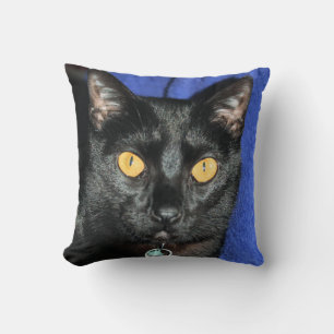 Murphy Cushion