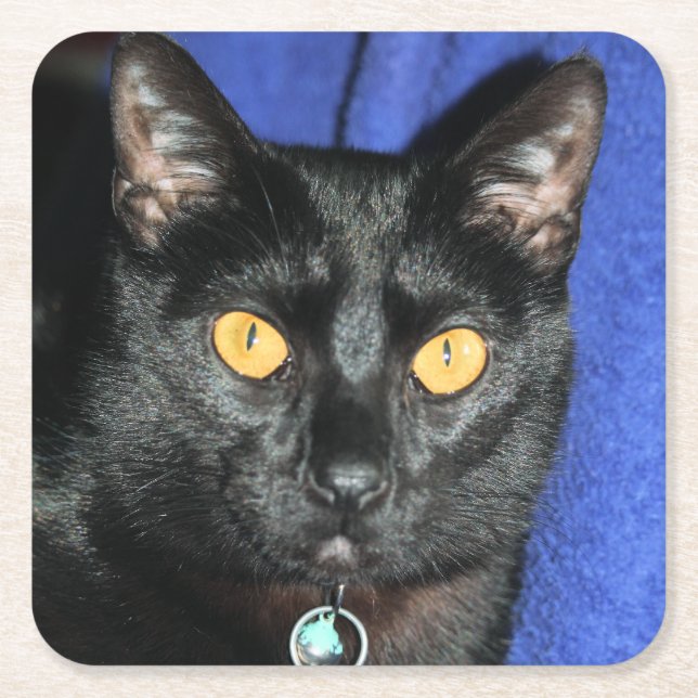 Murphy Square Paper Coaster (Front)