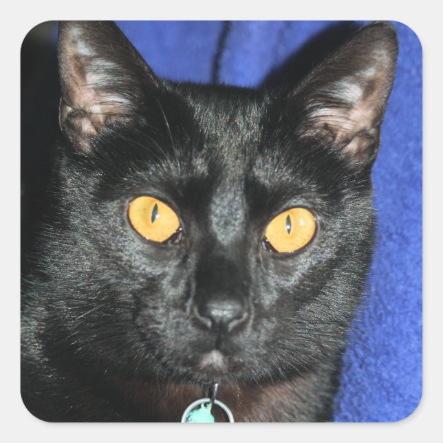 Murphy Square Sticker (Front)