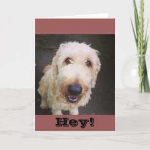 Murray Greeting Card