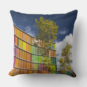 MUSAC, contemporary art museum Cushion