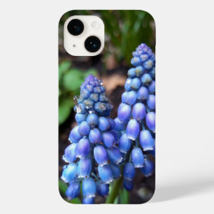 Muscari Armeniacum , Grape Hyacinth with Raindrops Case-Mate iPhone 14 Case