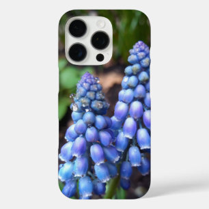 Muscari Armeniacum , Grape Hyacinth with Raindrops iPhone 16 Pro Case