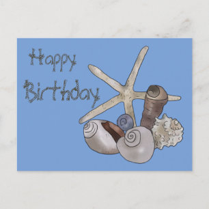 Muscheln und Seestern Postcard