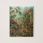Muscinae - Ernst Haeckel 8x10 Jigsaw Puzzle<br><div class="desc">This puzzle is a finely detailed reproduction of a late 1800s Ernst Haeckel scientific illustration of 16 absolutely gorgeous varieties of muscinae (mosses) and is in the public domain. This beautiful 8x10 puzzle will make a lovely gift to your puzzle loving friends & family or a great collectable for yourself....</div>