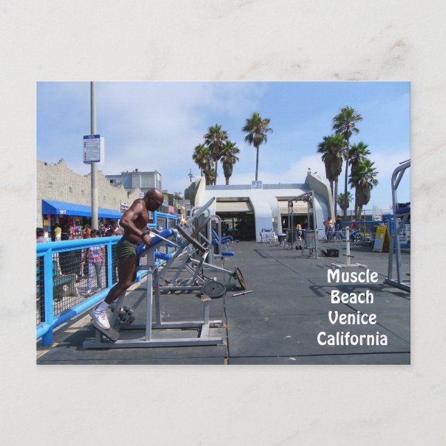 Muscle Beach Venice Postcard! Postcard (Front)