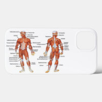 Muscle Diagram medgifts101