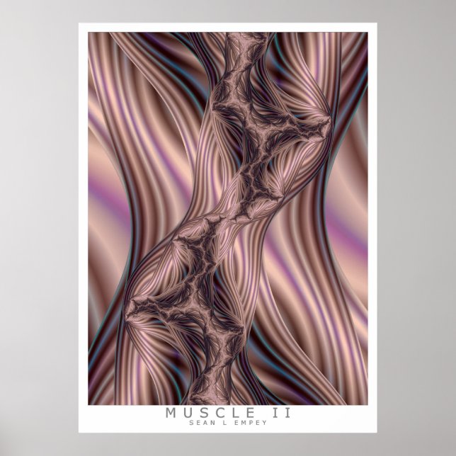 MUSCLE II POSTER (Front)