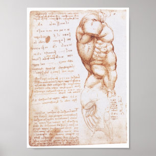 Muscles of the Torso, Leonarod da Vinci Poster