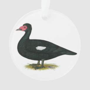 Muscovy Black  Drake Ornament
