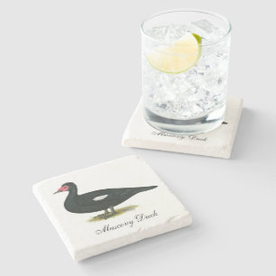 Muscovy Black Drake Stone Coaster