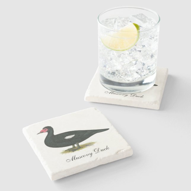 Muscovy Black Drake Stone Coaster (Side)