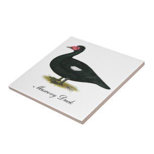 Muscovy Black Drake Tile