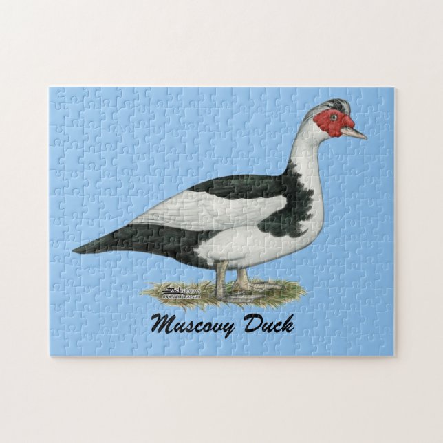 Muscovy Black Pied Drake Jigsaw Puzzle (Horizontal)