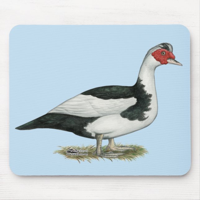 Muscovy Black Pied Drake Mouse Pad (Front)