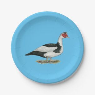 Muscovy Black Pied Drake Paper Plate