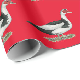 Muscovy Black Pied Drake Wrapping Paper
