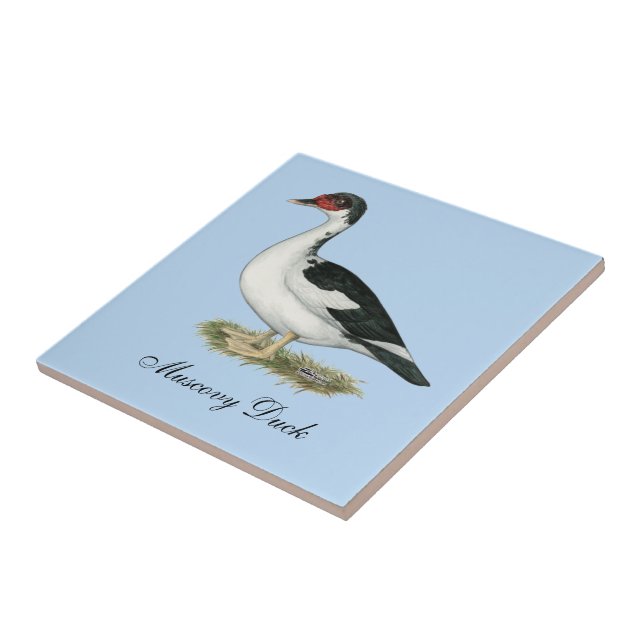Muscovy Black Pied Duck Ceramic Tile (Side)