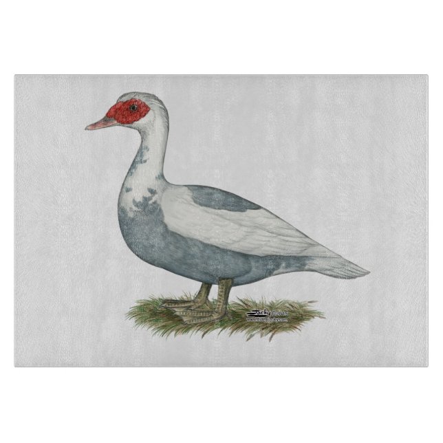 Muscovy Blue Pied Duck Cutting Board (Front)