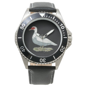 Muscovy Blue Pied Duck Watch