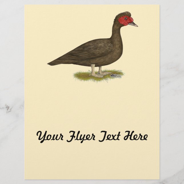Muscovy Drake Chocolate Flyer (Front)