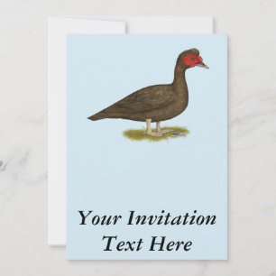 Muscovy Drake Chocolate Invitation