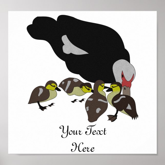 Muscovy Duck and Duckling Poster (Front)
