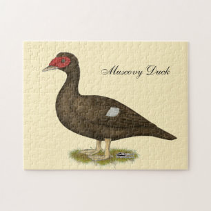 Muscovy Duck Chocolate Jigsaw Puzzle