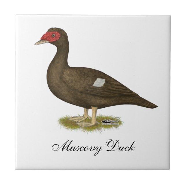 Muscovy Duck Chocolate Tile (Front)