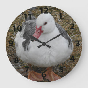 Muscovy Duck Clock