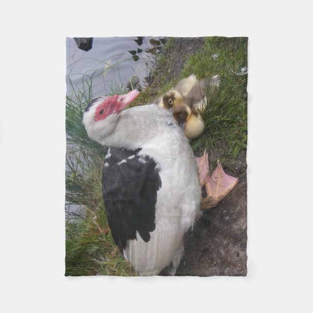 Muscovy Duck Family Fleece Blanket (Front)