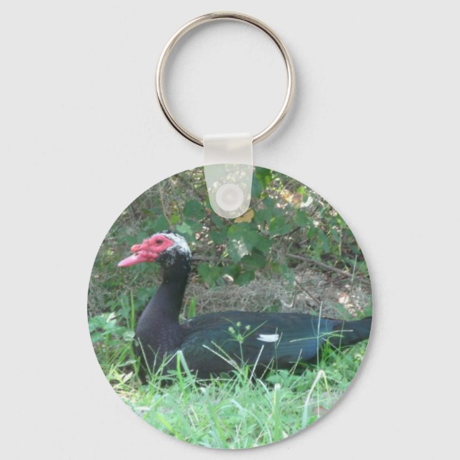 Muscovy Duck Key Ring (Front)