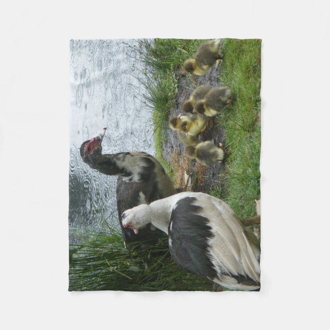 Muscovy Ducks And Ducklings Fleece Blanket (Front)