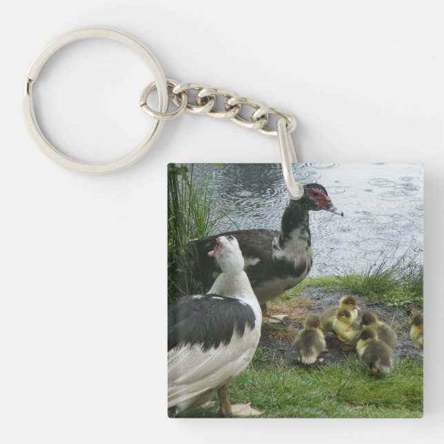 Muscovy Ducks And Ducklings Keychain (Front)