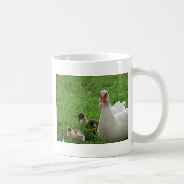 Muscovy Hen And Ducklings Coffee Mug (Right)